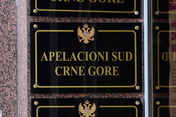 Afera "stanovi" Apelacioni sud